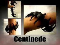 Centipede by Bisic
