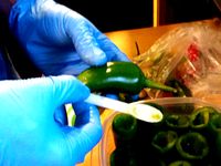 Jalapeno Scooper by SLC3DP