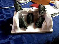 Brock bases by Gholland