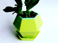 Hexagon Succulent Planter Water Tray by beautato