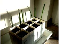 Stack-able seed planting pot by Jvancsik