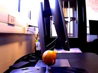 Sarah's_toy by claranovoa