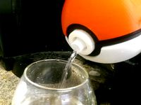 PokeFlask by MHypothetical