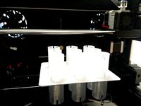 Indoor Gardening Set  by AprintaPro