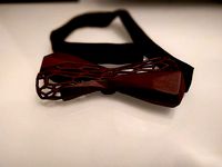 organic and low poly styled bow-tie by NRabault