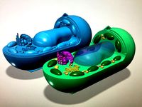 plant cell komórka roślinna by Pi01