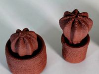 clay cactus mix by annaa