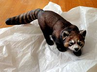 Red Panda by CreateCafe3D