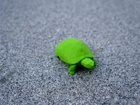 Low Poly Schildkröte by GrimbiXcode