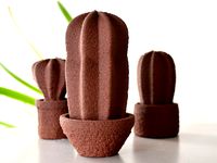 Catus by annaa