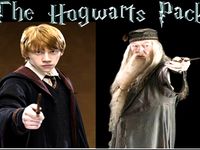Harry Potter Pack by ajaxson200