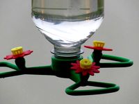 Hummingbird Feeder Bee and Wasp Guard by Gazorpa