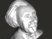 Tongue Einstein Bust with Pupils (Reduced Filesize) by Vivalize