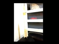 Compressed Air Rocket Fin Design by ttd