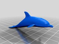 Low Poly Dolphin by GrimbiXcode
