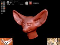 Vulpes zerda (fenek) by shura2000