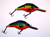Crankbait Fishing Lure by sthone