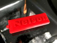 Keychain Nelson by njag