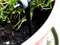 Hozelock Watering System Spike by Hvmhvm