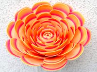 Roses for the table by UniCoFil