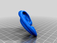 Human Right Ear by col98