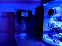 Neptune Apex Display bracket by DoctorLaser