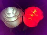 Light-up Rose with Stem (pluggable) by mcseven