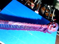 necromancer wand by jupijupi