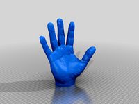 Hand by Teak