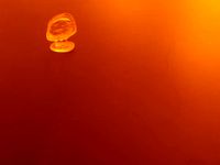 Ultra thin test copying by alebarboza