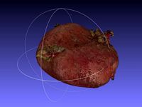 Potato Scan with NextEngine Scanner - Fruits and Vegetables by dricketts