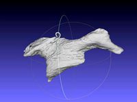 Driftwood Duck Scan, with hook! by dricketts