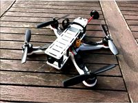 Sayha - X FPV Quadcopter 4" 5" 6" by diogorsergio