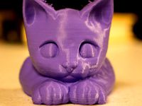 Star Hen's Sad Cat (Beta) by astarhen