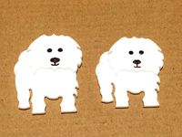 Coton De Tulear Fridge Magnets by Kenzoid