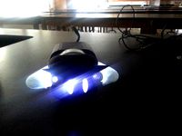 Mad Bull Light by mfritz