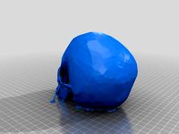 Head Skull (Human Remains) by somethingc