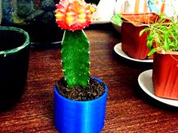 Cactus Planter by markoman1111