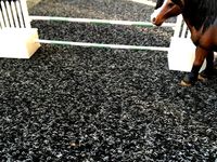 Horse Jumping Obstacle by Diymaster1