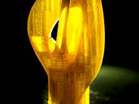 Organic shape by ahpaolo