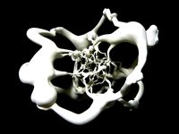 More fun than a 24-cell of monkeys by henryseg