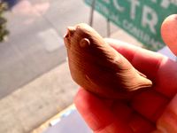 Bird Figurine by KrisMessyhair
