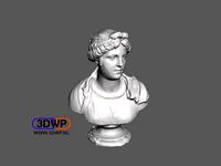 Bust Of A Young Woman - Simone Bianco (Statue 3D Scan) by 3DWP