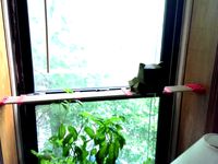 Customizable Dowel Rod Shelf by ryanthecoder