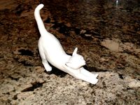 Cat Stretch by billyd