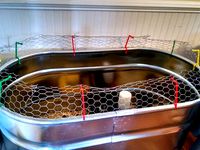 Jurassic Cluck: Chicken Brooder Fence by Andrew_Thaler