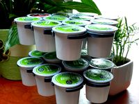 K-Cup Tree by Nihlton