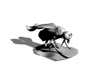 Drosophila melanogaster model / fruit fly by benny369