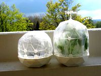 Flexible Mini Greenhouse-Dome with Pot (clickable) by graph