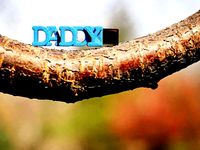 DADDY usb case for fathers by Emese